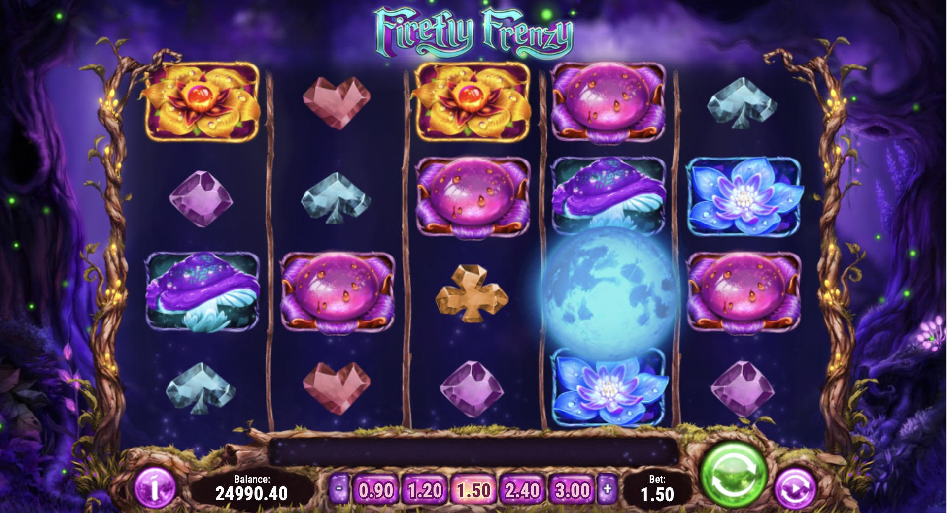   Firefly Frenzy  Martin asino     